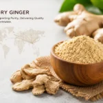 Dry Ginger Manufacturer in India