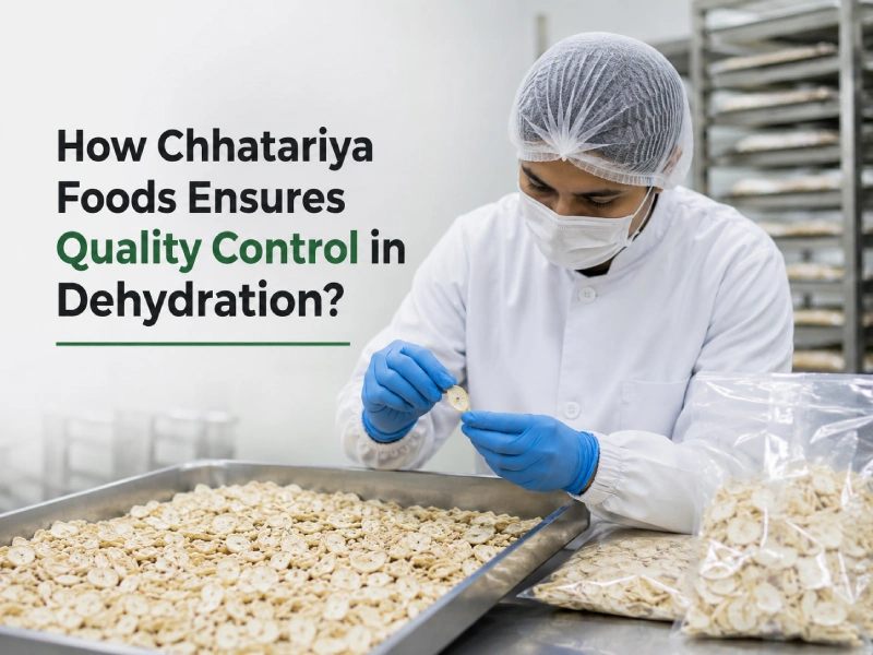 Quality Control in Food Dehydration Explained