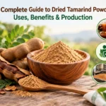 Dried Tamarind Powder Uses & Benefits